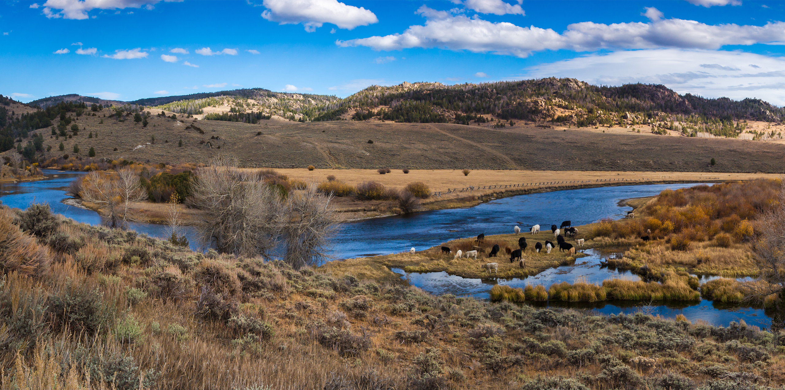 Natural Capital Performance Differentiation